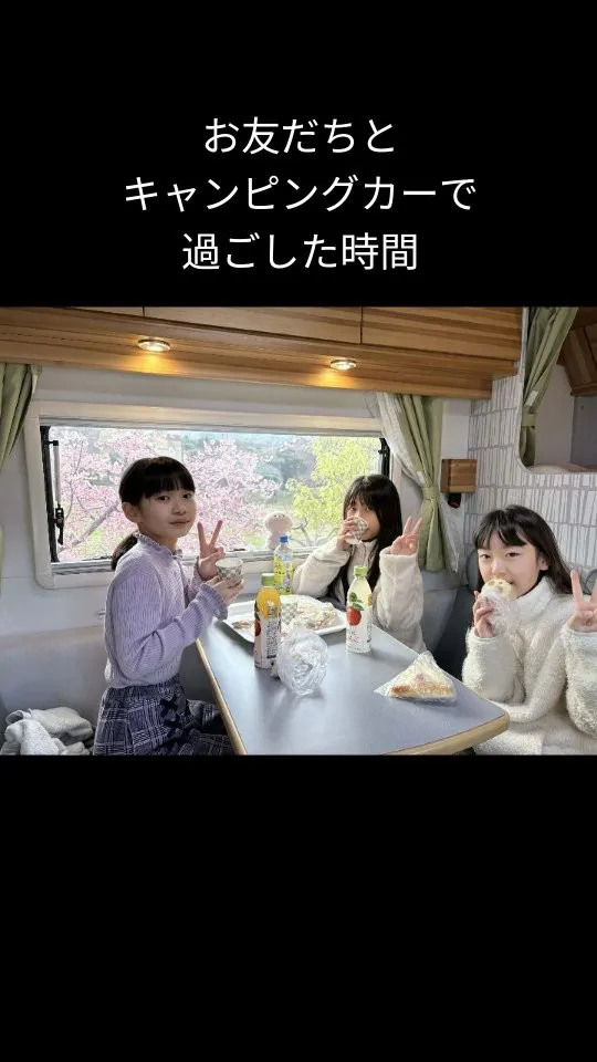 【車窓からの桜は！？なんと！】